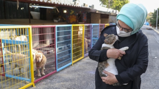 بازدید همسر رئیس جمهور ترکیه از پناهگاه حیوانات به مناسبت روز ...