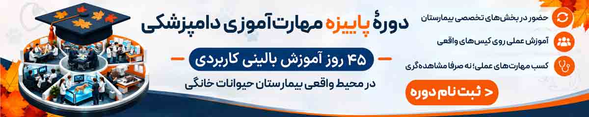 تبلیغات لوگو