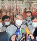بازدید وزیر جهاد کشاورزی، رئیس سازمان دامپزشکی کشور و مدیرکل دامپزشکی استان تهران از یکی از کشتارگاه‌های دام شهرستان ری (+تصاویر)