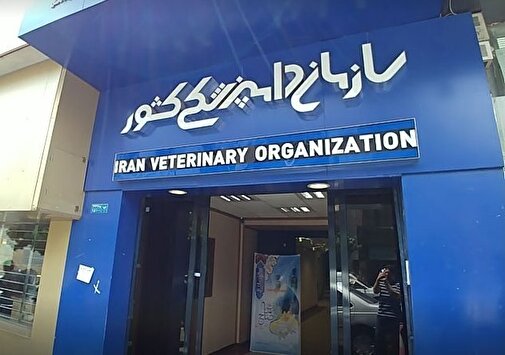 بازطراحی ساختار سازمان دامپزشکی کشور به منظور حذف تشکیلات موازی یا غیرضرور ابلاغ شد/ آیا انحلال سازمان دامپزشکی یا ادغام آن در معاونت امور دام وزارت جهاد کشاورزی کلید خورده است؟ (+پی‌نوشت)