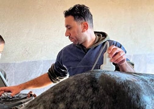 ورود بی‌برنامه و بدون آموزش کافی به حوزه طب اسب، هم به رشته آسیب می‌زند و هم به خود افراد/ آینده دامپزشکی را بسیار روشن می‌بینم