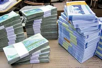 ارائه تسهیلات بانکی تا سقف ۶ میلیارد تومان با نرخ ۱۸ درصد به اعضای بخش خصوصی و دولتی نظام دامپزشکی خراسان رضوی