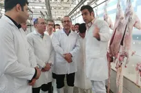 روند کاهش کشتار دام&zwnj;ها در کشتارگاه&zwnj;ها تغییر خواهد کرد