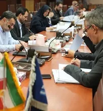 واردکنندگان و صادرکنندگان خواستار مهلت ۶ ماهه برای اجرای الزام &laquo;مسئول فنی دامپزشکی&raquo; شدند/ پیشنهاد اشتراک مسئول فنی میان چند شرکت کوچک