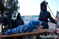 ۷۴ ضربه شلاق، مجازات توهین قصاب متخلف به مأمور دامپزشکی