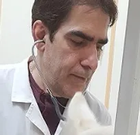 حیوانات خانگی به کرونا مبتلا نمی&zwnj;شوند/ از الکل ۷۰ درصد برای ضدعفونی کردن دست و پای حیوانات خانگی استفاده نکنید
