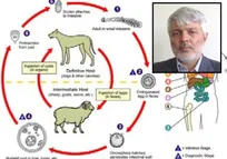مروری بر بیماری&zwnj;های قابل انتقال بین انسان و حیوان (Zoonosis)