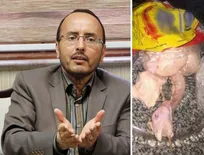 با عاملان انتشار خبر نادرست ذبح غیرشرعی مرغ برخورد می&zwnj;شود/ احتمال دارد این عکس&zwnj;ها را با فتوشاپ درست کرده باشند