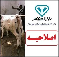 علت تلفات دام&zwnj;های اروندکنار آبادان &laquo;شاربن علامتی&raquo; بوده است، نه &laquo;شاربن&raquo;