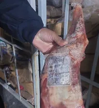 ورود گوشت&zwnj;های منجمد آلوده وارداتی به استان گیلان صحت ندارد/ تلاش شده بود که این ۶ محموله گوشت منجمد وارداتی به وزن ۱۰۰ تن وارد بازار مصرف کشور شود که از ترخیص آن جلوگیری شد