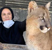 گفت&zwnj;وگوی حکیم مهر با &laquo;دکتر سهیلا نیسی&raquo; متخصص قارچ&zwnj;شناسی دامپزشکی و فعال حوزه حیات&zwnj;وحش/ دانشکده&zwnj;های دامپزشکی باید واحد حیات&zwnj;وحش را اجباری کنند (+تصاویر)
