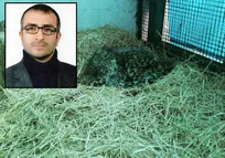 برخی همکاران با لبی خندان از این صحبت می&zwnj;کنند که پلنگ در حال مرگ است! / انتقال &laquo;آرزو&raquo; برای دوری از حاشیه&zwnj;ها بود