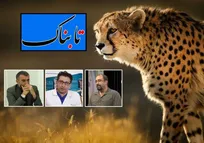 روایت &laquo;تابناک&raquo; از پرونده جنجالی توله یوزپلنگ مصدوم