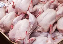 و باز هم شایعه مصرف هورمون در مرغ&zwnj;های گوشتی!/ این&zwnj;بار خبرگزاری باشگاه خبرنگاران جوان و رسانه جامع پزشکی &laquo;الو دکتر&raquo;