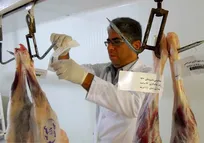 پیش&zwnj;نویس آیین&zwnj;نامه اجرایی ماده ۳۴ قانون برنامه پنج&zwnj;ساله ششم توسعه درباره مسئولین فنی بهداشتی دامپزشکی منتشر شد