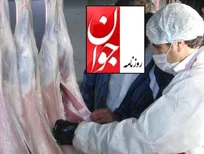 گوشت و مرغ آلوده با طعم ترس دامپزشکان از کارفرما!