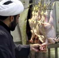 حقوق ناظران شرعی واردات مرغ از ترکیه ماهانه ۷۱ میلیون تومان (به همراه اسکان، پذیرایی، تغذیه و حمل و نقل) تعیین شد (+سند)