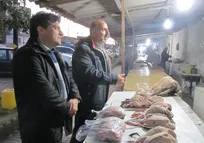 سفر دو روزه معاون بهداشتی و پیشگیری سازمان دامپزشکی کشور به استان مازندران (+تصاویر)
