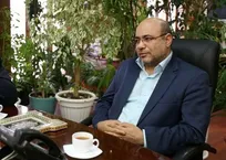 تصمیم&zwnj;گیری برای جمع&zwnj;آوری گربه&zwnj;ها در تهران بر عهده سازمان دامپزشکی کشور است!
