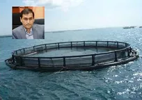 لزوم راه&zwnj;اندازی کلینیک&zwnj;های تخصصی بیماری&zwnj;های ماهیان در قفس توسط بخش خصوصی