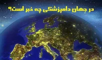 در جهان دامپزشکی چه خبر است؟ از خطرات نگهداری از خوکچه&zwnj;هندی تا ابداع روش جدید درمان بیماری قلبی در اسب