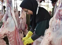 فعالیت ۲۳۰۰ دامپزشک و کارشناس بهداشتی برای نظارت بر ذبح بهداشتی دام در عید قربان (+گزارش تصویری)