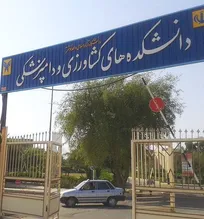 دانشکده دامپزشکی دانشگاه آزاد شوشتر؛ دانشجویانی که فقط یک کیس اسب و چهار کیس گاو دارند/ استقرار دانشکده دامپزشکی در این شهر توجیه ندارد