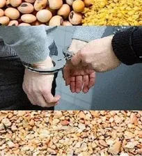 کشف تخلف ۴۵ هزار میلیارد تومانی واردات نهاده&zwnj;های دامی