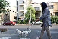 از هفته آینده شهروندانی که در اماکن عمومی اهواز سگ به همراه دارند، جریمه شده و سگ&zwnj;ها نیز تحویل محیط زیست می&zwnj;شوند!