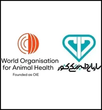 سازمان جهانی بهداشت حیوانات (WOAH) رسماً کانون بیماری آنفلوانزای فوق&zwnj;حاد پرندگان در استان اردبیل را مختومه اعلام کرد