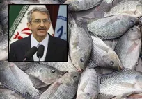 تیلاپیا ستیزان، مانع اصلی پیوستن ایران به موج جهانی تولید تیلاپیا هستند - محمدابراهیم اسماعیلی