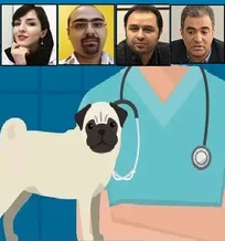 در هیچ&zwnj;یک از متون درسی دامپزشکی، سرفصلی تحت عنوان &laquo;جراحی زیبایی حیوانات&raquo; وجود ندارد