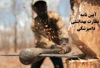 توصیه حکیم مهر برای تغییر رویکرد سازمان دامپزشکی بی&zwnj;اثر خواهد بود!/ جهل مرکب گریبان حکیم مهر را گرفته است!