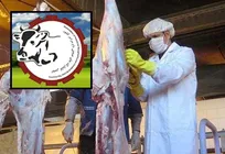 این تهمت&zwnj;ها، این دروغ&zwnj;ها و این توهین&zwnj;ها در قالب گزارش ویژه، با فلسفه تأسیس حکیم مهر تعارض دارد!