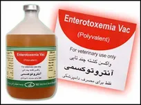 گزارش اختصاصی حکیم مهر از ضد و نقیض&zwnj;های مسئولین درخصوص کمبود واکسن آنتروتوکسمی در بازار/ دامپزشکان چه می&zwnj;گویند؟!