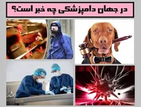 در جهان دامپزشکی چه خبر است؟ از تأسیس نخستین سیستم جنایی حیوانات در اروپا تا راهکار جدید مهار سویه&zwnj;های مختلف آنفلوانزای پرندگان