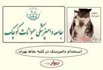 توقف فعالیت شرکت فعال در زمینه اعزام دامپزشک به درب منازل برای ویزیت حیوانات خانگی