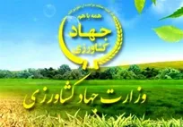 معاون توسعه بازرگانی و صنایع کشاورزی وزارت جهاد کشاورزی و مدیرکل حوزه وزارتی این وزارتخانه بصورت همزمان بازنشسته شدند/ آغاز جوان&zwnj;گرایی در وزارت جهاد کشاورزی؟