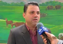 مدیرکل دامپزشکی استان البرز در گفت&zwnj;وگو با حکیم مهر: نگهداری از سگ&zwnj;های بدون&zwnj;صاحب باید زیر نظر دامپزشکی انجام شود