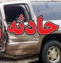 دو نفر از کارکنان دامپزشکی تکاب بر اثر سانحه تصادف در حین ماموریت از ناحیه ستون فقرات و گردن مصدوم شدند