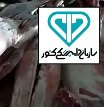 توضیحات سازمان دامپزشکی کشور درباره فیلم منتشر شده از واردات گوشت گوسفندی بی&zwnj;کیفیت و ذبح غیرشرعی از مغولستان