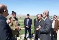 واکسیناسیون بیش از ۲۰ میلیون رأس دام در کشور علیه تب برفکی طی سه ماه اخیر