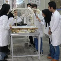 با جدیدترین لیست دانشکده&zwnj;های مورد تایید انجمن دامپزشکی آمریکا (AVMA) در ایران آشنا شوید/ پنج دانشکده دامپزشکی که در لیست AVMA قرار ندارند، کدامند؟