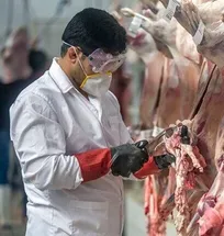 با توجه به اینکه مبلغ تعرفه دستمزد و مزایای مسئولین فنی بهداشتی دامپزشکی بالا است، کارفرمایان از عقد قرارداد با آنها خودداری می&zwnj;کنند
