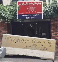 شهرداری تهران درب نخستین بیمارستان دامپزشکی حیوانات خانگی تهران را با بلوک سیمانی مسدود کرد/ علت عجیب شهرداری برای مسدود کردن درب بیمارستان!