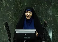 عضو کمیسیون فرهنگی مجلس خواستار تخصیص بخشی از اعتبارات بودجه سلامت به سازمان دامپزشکی کشور شد