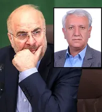 رئیس انجمن صنفی دامپزشکی استان قزوین در نامه&zwnj;ای به رئیس مجلس شورای اسلامی، خواستار تشکیل فوری کارگروهی به منظور استیفای حقوق مسئولین فنی بهداشتی دامپزشکی شد