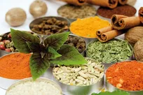 کاربرد گیاهان دارویی در رشته دامپزشکی