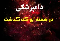 تفسیر وقایع مرتبط با حرفه دامپزشکی در هفته بیست و پنجم سال ۱۳۹۵