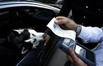 پلیس با حمل حیوانات در درون خودروها برخورد می&zwnj;کند (+عکس)